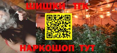 индика Кулебаки