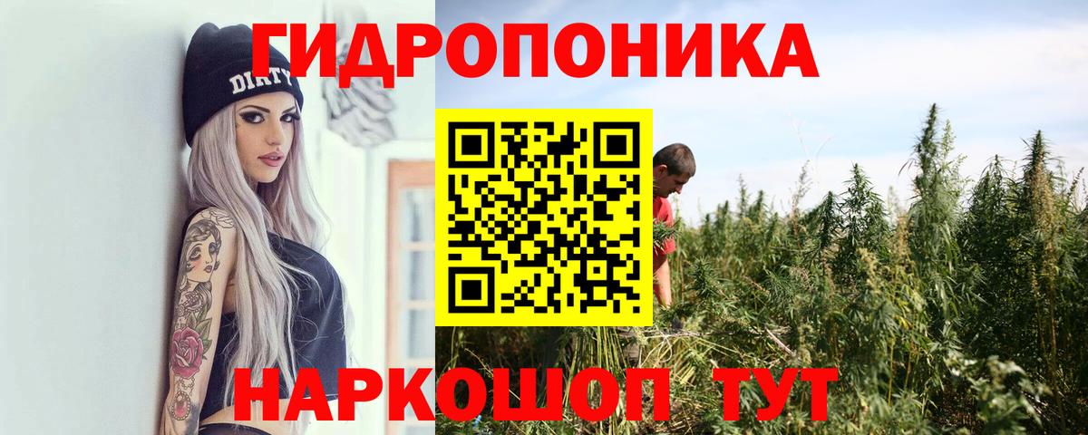 Канабис планчик Саратов